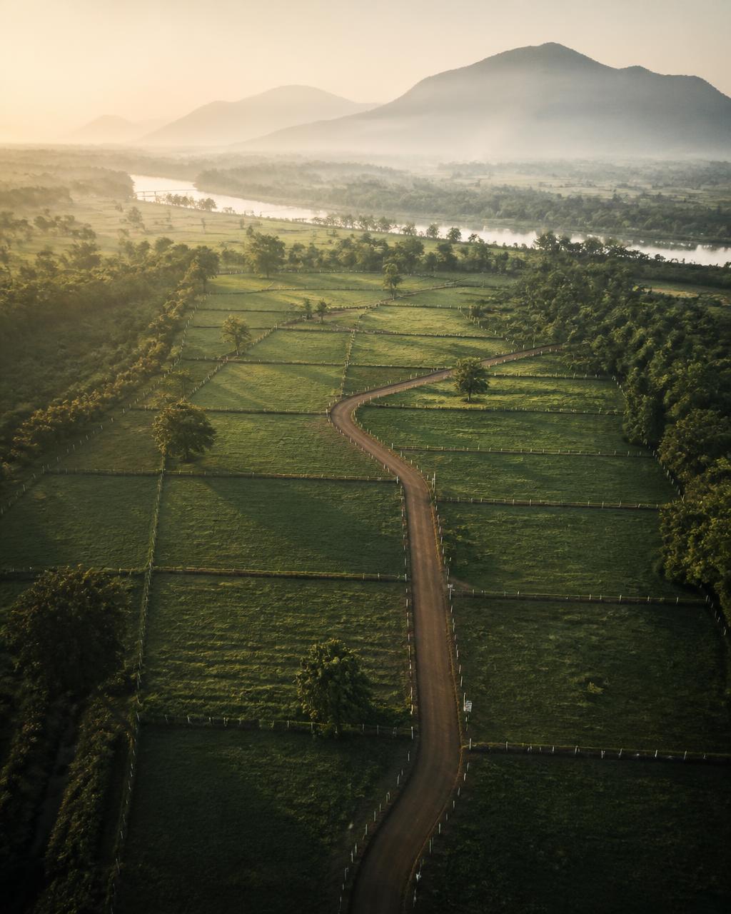 Aerial view of clearly demarcated farmland parcels with fencing and an internal access road